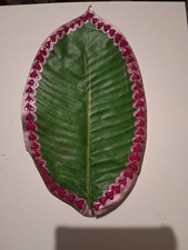 Mehndi Haldi Thaal Henna Rasam