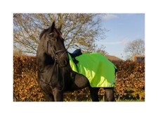 Cameo Equine Waterproof Exercise Sheet with Tail Flap, Reflective Horse Cover