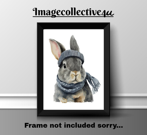 Rabbit animals pets a4 - rabbit,