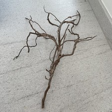Large Spider Bogwood Or