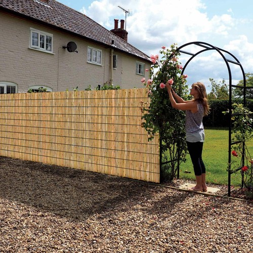 Bamboo fence screening - bamboo,