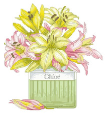 Counted cross stitch kit ct - stitch, 14