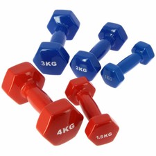 Dumbbells Gym Weights Vinyl