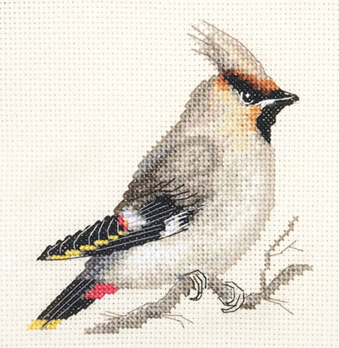 Waxwing bird full counted - bird,
