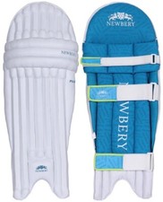 2026 newbery cricket - 2026, pulse