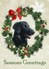 FLAT COATED RETRIEVER SEASONS