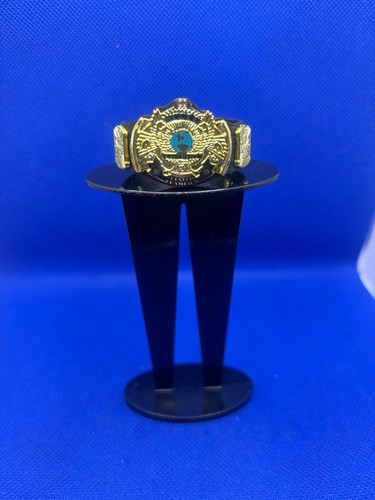 Elite winged eagle title - eagle, belt