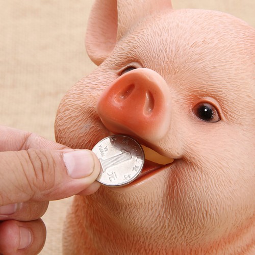 New piggy bank cute - new, pig