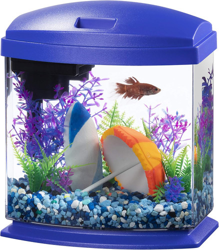 Led minibow small aquarium - led,