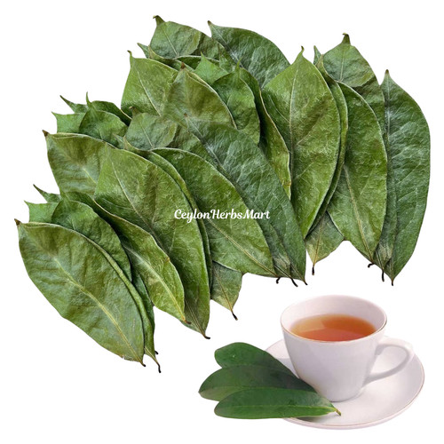 Dried organic soursop leaves - dried,