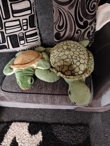 Soft plush turtle stuffed - plush,