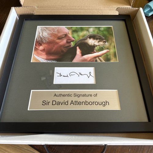 Sir david attenborough - sir,