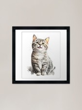 Beautiful Little Kitten Framed