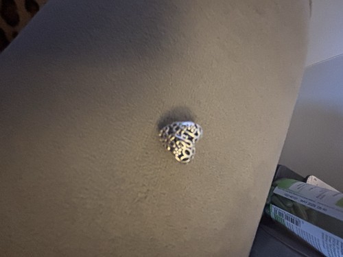 Silver pandora charm with - charm, a