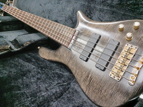Warwick streamer stage - warwick, i
