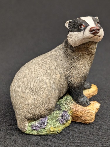 Border fine arts badger - border,