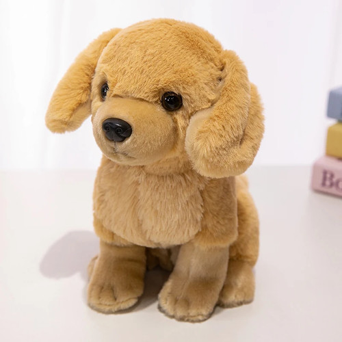Husky golden beagle german - golden,
