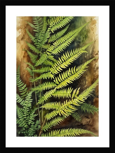 Bold fern fronds - framed, wall