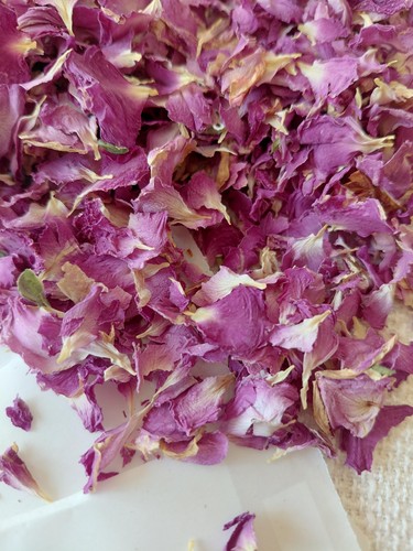 Dried rose petals for wedding - rose,