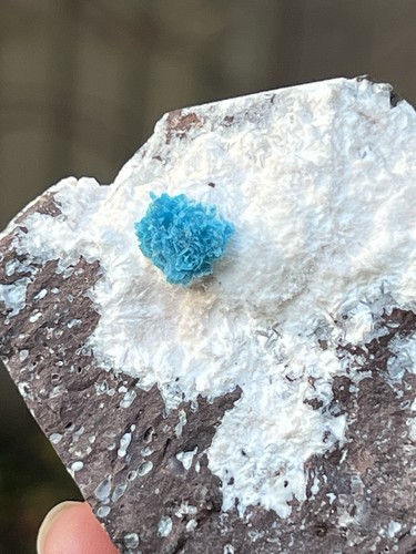 Cavansite flower heulandite - flower, on