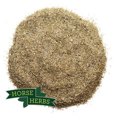 Horse Herbs Chamomile Flower