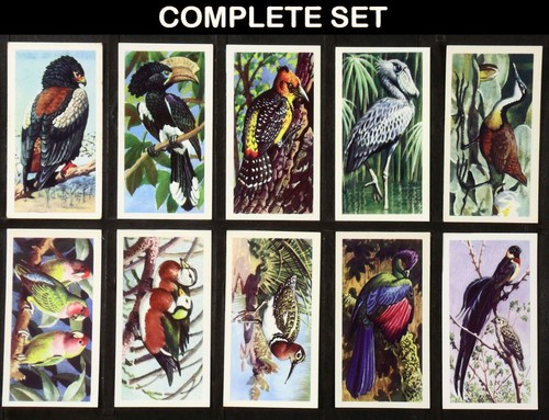 Tropical birds brooke bond - tropical,