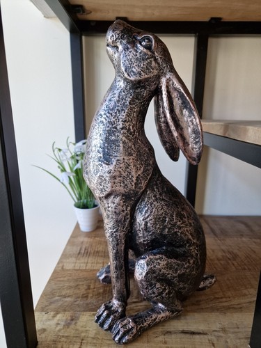 Sitting moongazing hare rabbit - hare,
