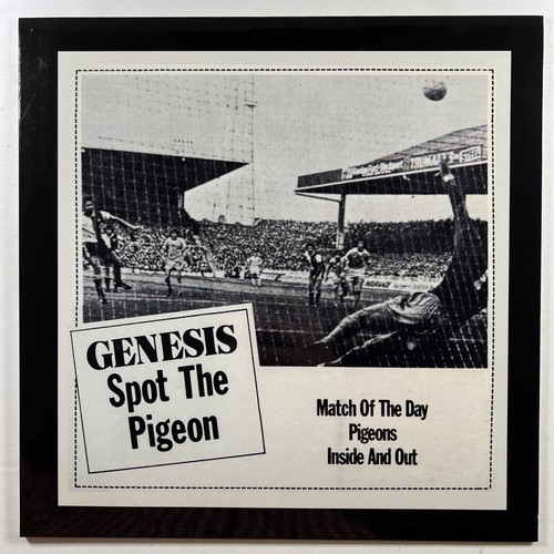 Spot the pigeon - spot, (dual
