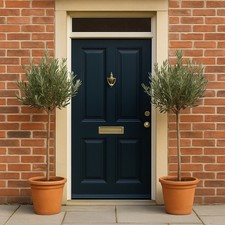 🫒 2x Standard Olive Trees 120cm Tall, 10L Pot - Olea Europaea