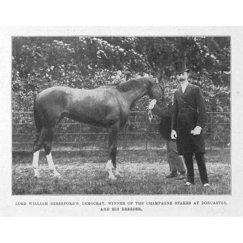 Horse racing lord - horse, william