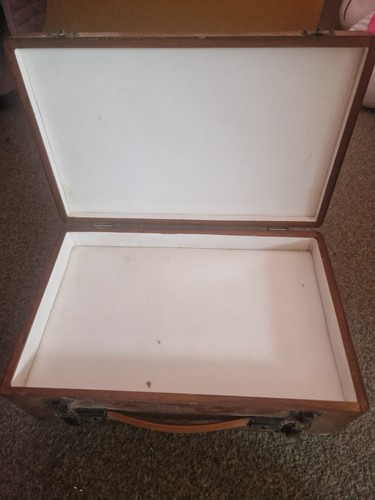 Entomological insect specimen - entomological,
