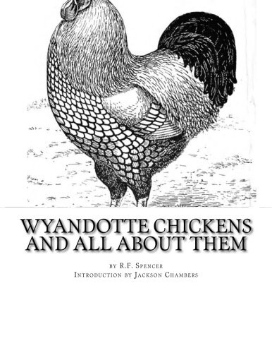Wyandotte chickens and - chickens, all