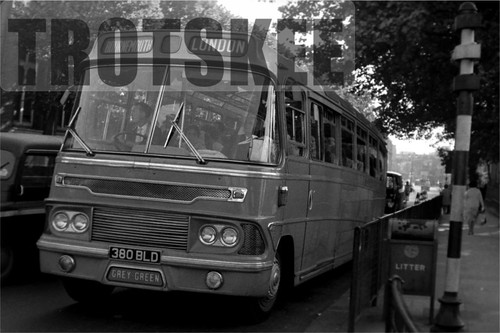 35mm negative grey - 35mm,