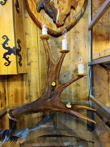 Moose elk deer - moose, antler