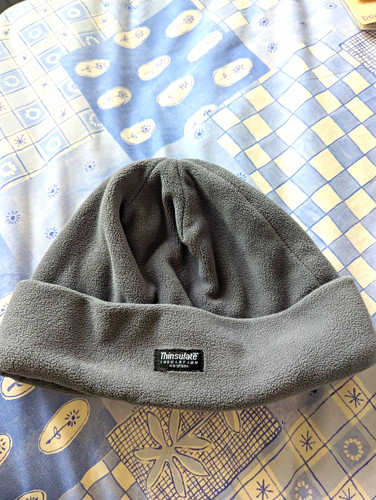 Thinsulate men grey fleece - thinsulate, men’s