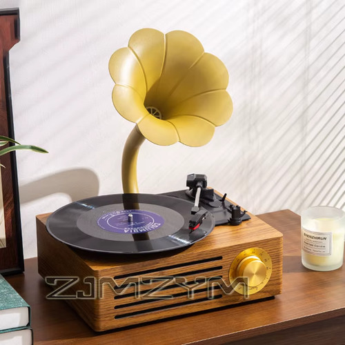 Vintage vinyl record - vinyl,