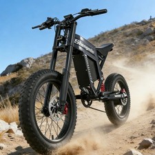 Powerful 20"Electric Bike 60V