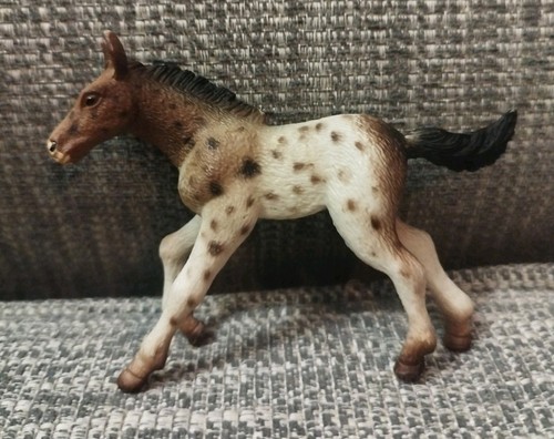 Appaloosa foul mint condition - appaloosa,