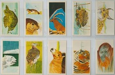 Brooke Bond. A full set, 40