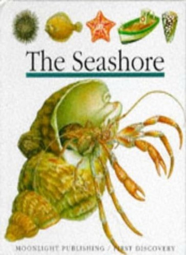 The seashore - (first, discovery)