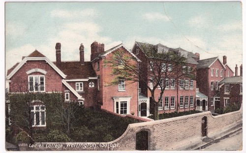 Ladies college wellington - ladies,