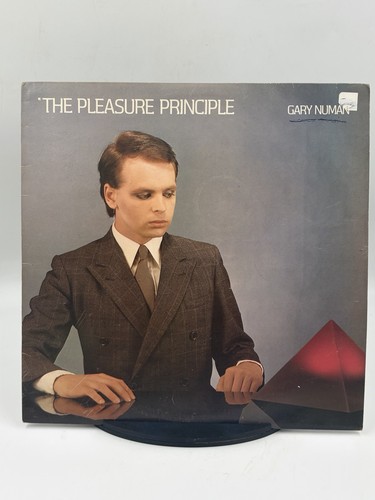 The pleasure principle gary - principle,