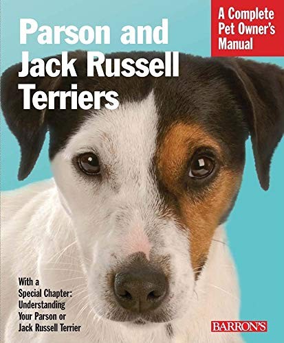 Parson and jack russell - parson,