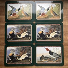 John James Audubon Duck Bird