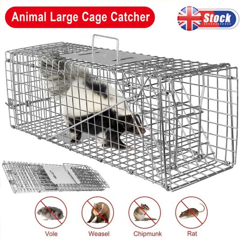Humane squirrel trap - humane, heavy