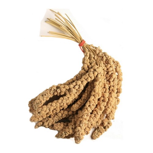 Millet spray for birds - spray,