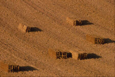 752083 Straw Bales In Field A4 Photo Texture Print