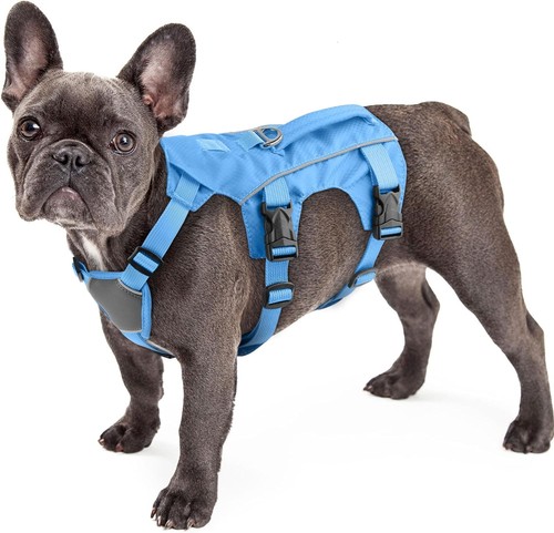 Escape proof dog - proof,