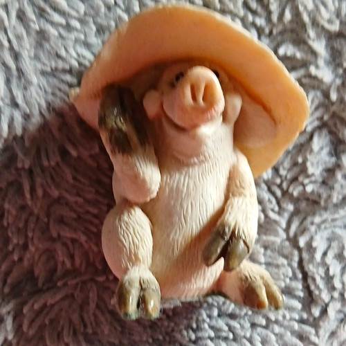 Ltd piggin poser - c.w.s.,