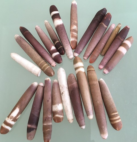 Sea urchin wands - 5x,